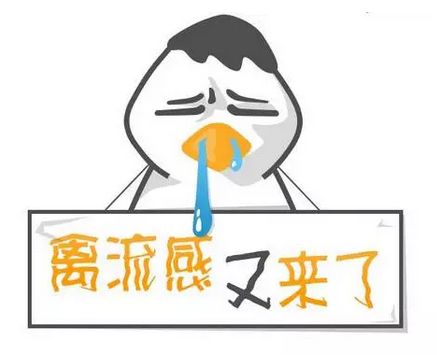 禽流感夏季需注意 禽流感夏季需注意